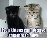 Even Kittens Cannot Save This Thread, Now